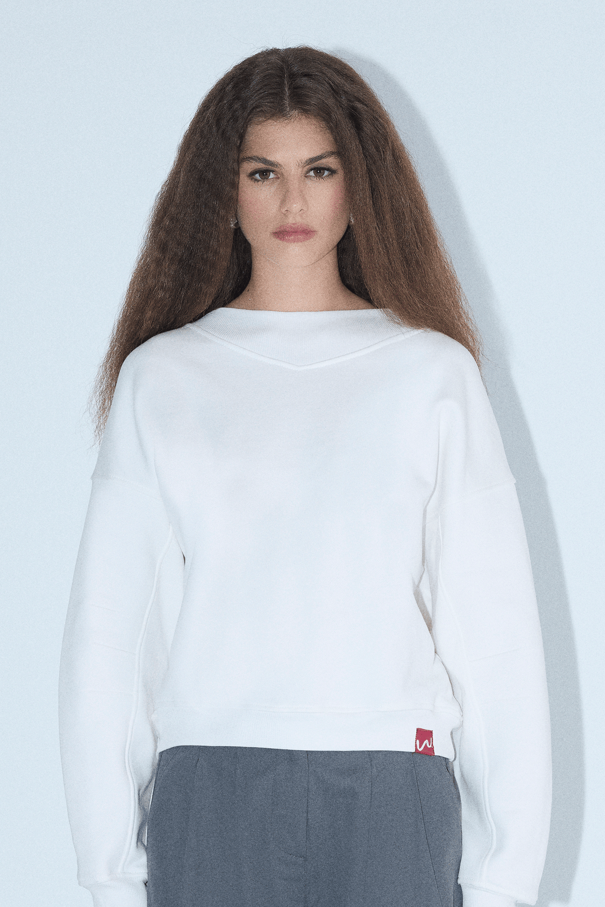 Double Take Sweatshirt